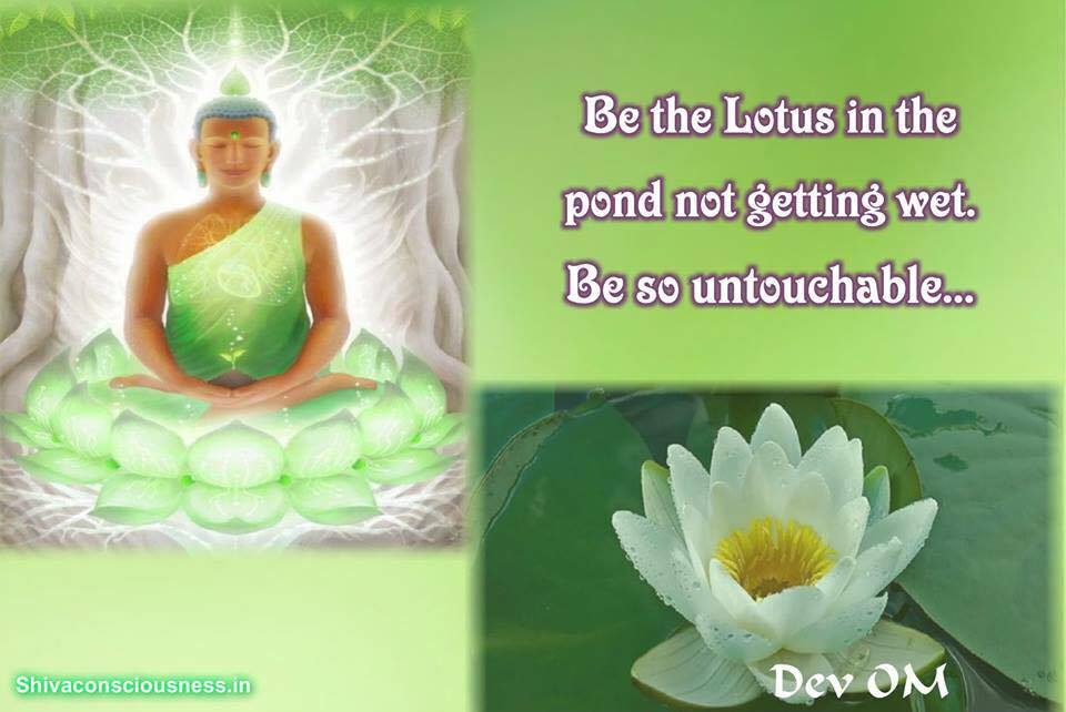 Be like Lotus Dev OM Quotes