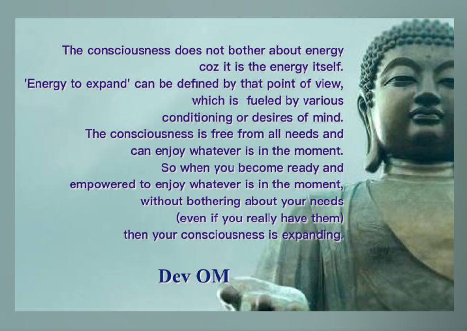 Consciousness Dev OM Quotes