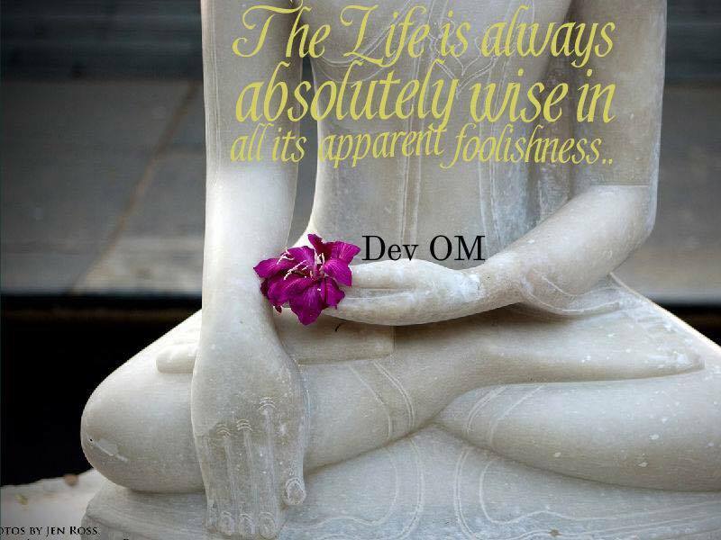 Wise Life Dev OM Quotes